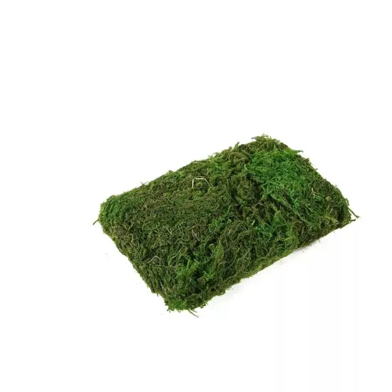50 grams Green Natural Reindeer Moss Vase Fillers Wedding Party Decorations {1}