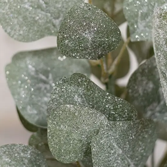 Frosted Dollar Eucalyptus Leaf Spray 19" {3}