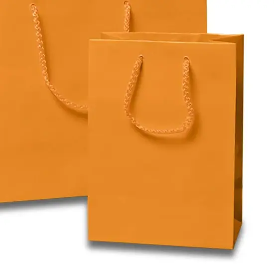 8'' x 4'' x 10'' Glossy Paper Totes Perfect for Jewelry Packaging Tangerine {6}