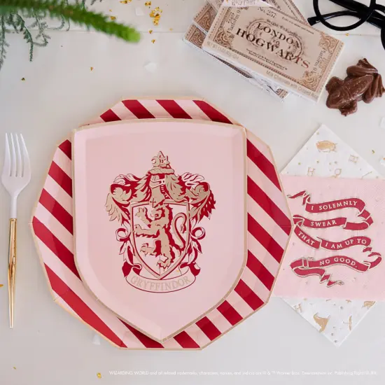 HARRY POTTER X BONJOUR FETE HOUSE PRIDE LARGE PARTY NAPKINS {5}