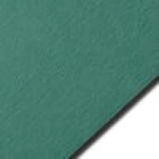 Colorplan EMERALD GREEN - 91 Lb. / 135 gsm / 8 pts Matte Premium Cardstock Paper Text A2 Euro Flap Envelopes Bulk Pack of 250 {2}