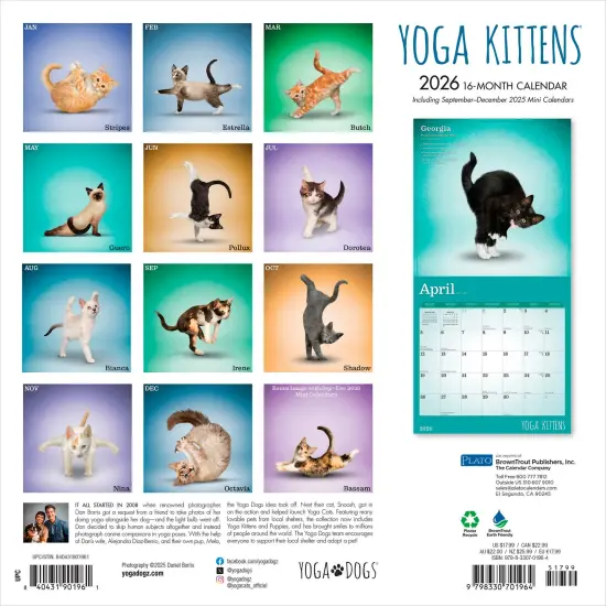 Yoga Kittens OFFICIAL | 2026 12 x 24 Inch (Hanging) Monthly Square Wall Calendar {2}