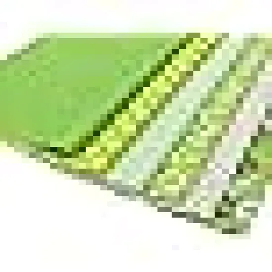 Quilting & Patchwork Fabric Set {3}