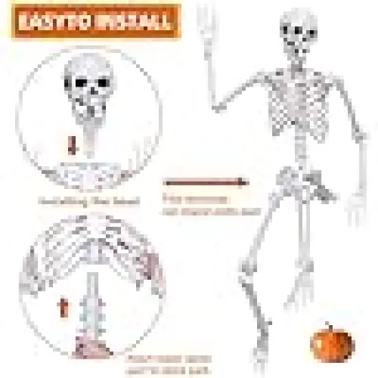 Skeleton Full Body Human Skeleton for Halloween Decorations {4}