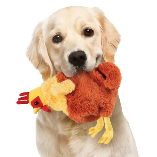 Collections Etc Stuffing Free Chicken Pet Toys - Set of 3 {1}