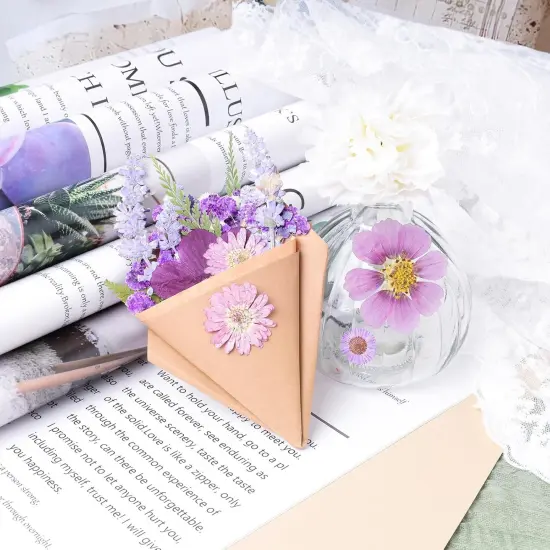 120Pcs Dried Pressed Flowers - (Delicate Color) {4}