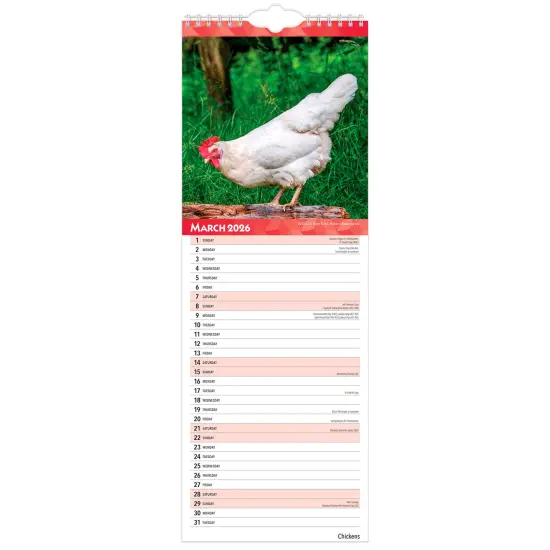 Chickens | 2026 5.7 x 16.5 Inch (Hanging) Monthly Slimline Wall Calendar {3}