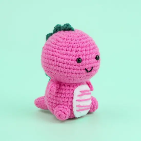 Crochet Kit for Beginners -Dinosaur {2}