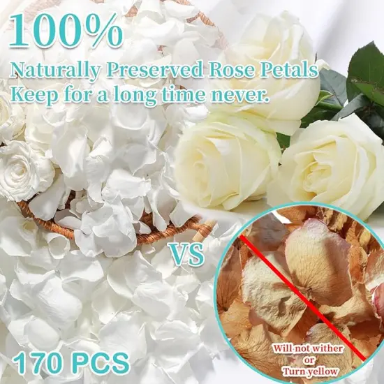 Real Dried Ivory White Rose Petals, Frozen Preserved Petals for, Wedding Party Decorations {2}