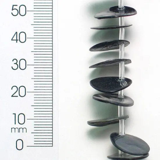 6 Packs of Button Tinted Shell Beads - Blue - 15mm - 2 x 8" Strand {1}