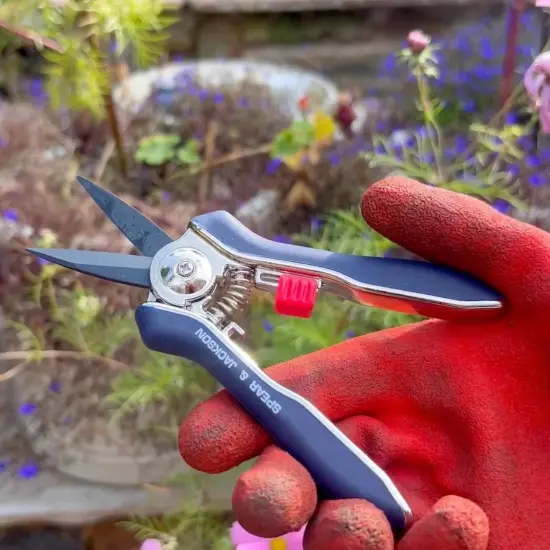Spear & Jackson Razorsharp Mini Pruner Set for Small Garden Tasks and Bonsai Care, 2 Piece Precision Compact Lightweight Ergonomic Pruning Shears {4}