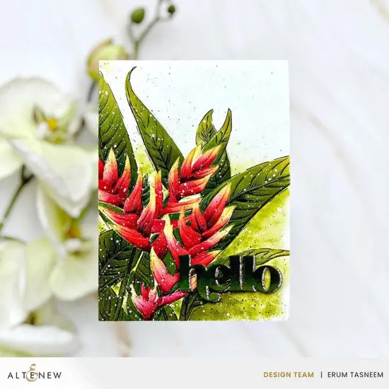 Charming Heliconia {7}