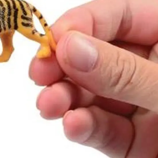 Wild Animals Include 144 Units {4}