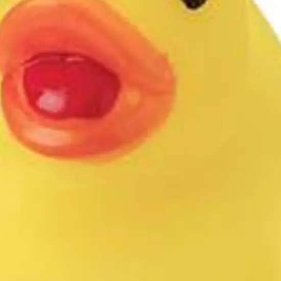 Mini Yellow Ducks Include 12 Units {4}