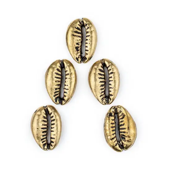 The Bead Chest Brass Cowrie Shells (Set of 5): Metal Beads for DIY Crafts & Jewelry-Making Inspired by African Sea Shells {1}
