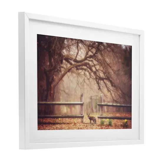 Sly Guy Fox in Forest Framed Print Under Glass Art Brown {9}