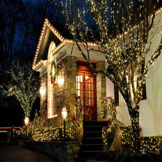White Christmas Lights Commercial Grade Outdoor Waterproof {1}