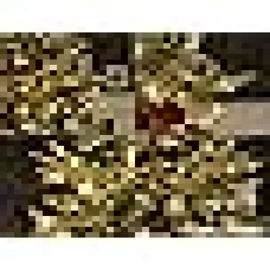 Twinkle Light for Outdoor Indoor Christmas Wedding Birthday Garden Party {2}