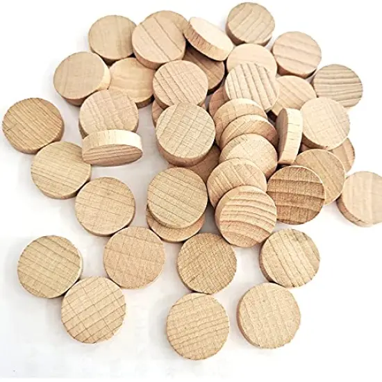 200 Pieces Unfinished Wood Slices, Blank Beech Round Discs for DIY Wooden Crafts(20mm/0.79inch) {6}