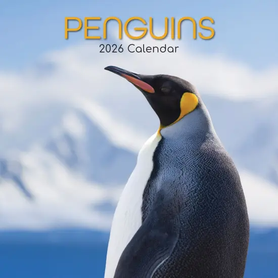 The Gifted Stationary 2026 Square Wall Calendar, Penguins 16-Month Animals Theme Hanging Calendar with 180 Reminder Stickers, Month Planner for Creative Spaces, 12x12 In Multicolor {1}
