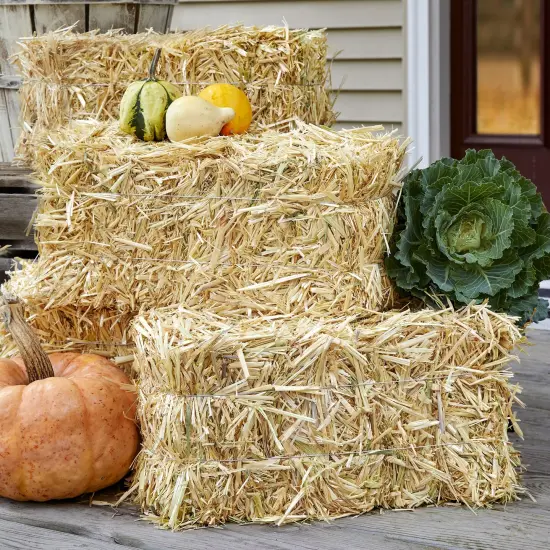 FloraCraft Decorative Natural Straw Bale-8"X8"X20" {5}