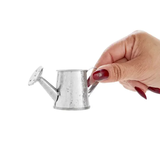 12-Pack Mini Galvanized Watering Can, Decorative Mini Watering Can for Crafts, Party Favors, Housewarmings, Garden-Theme Parties, and Home Decor (Silver, 3x1.6 in) {7}