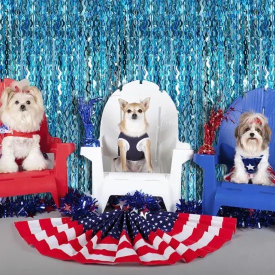 Blue Streamers Party Decorations, Blue Fringe Backdrop, Blue Birthday Decoration, Frozen Birthday Party Decorations, Ocean Party Decor, Under The Sea Party Decoration, Pool Beach Party Decorations {5}