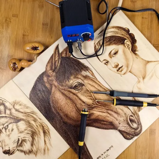 LH55-2-3 Wood Burner kit Wood Burning Tool Pen 25~750℃, Wood Burning kit with Digital Thermometer Temperature Adjustable Temperature, 3 pyrographic Wood Burning pens, 37 Wood Burning Pen Tips {5}