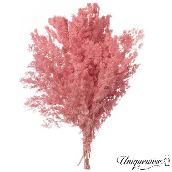 Uniquewise Preserved Real Floral Stems Chic Vase Fillers & Accents for Bouquets Centerpieces & Ornamental Displays Ideal for Home Office Boutique Cafe Resto Bar and Event Decor White m. bracteata {8}