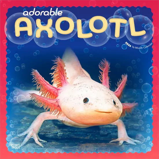 Adorable Axolotl | 2026 12 x 24 Inch (Hanging) Monthly Square Wall Calendar | Plastic-Free {1}