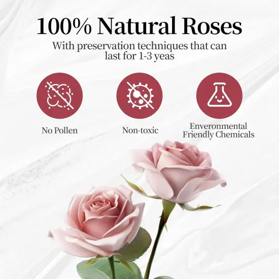 Forever Roses in A Box {2}