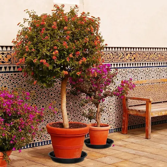 4 Pack Heavy Duty Large Plant {6}