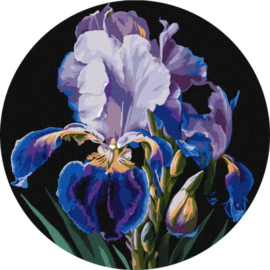 Painting by Numbers kit Delicate irises KHO-R1021 {2}