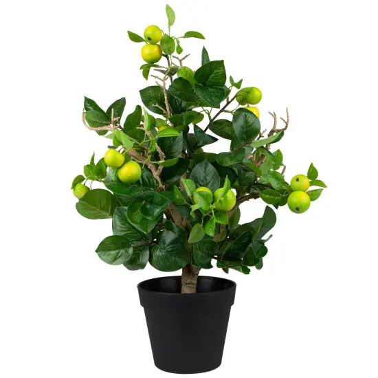 Northlight Bonsai Style Artificial Mini Apple Tree in Pot - 23" Green {3}