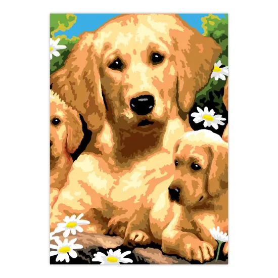 PBN-SET43 | Painting by numbers&trade; 21pc 8.75" x 11.75" Small Dogs Painting Project 3-Pack {3}