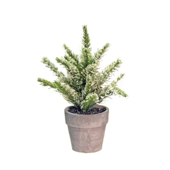 Potted Icy Pine 7" {1}