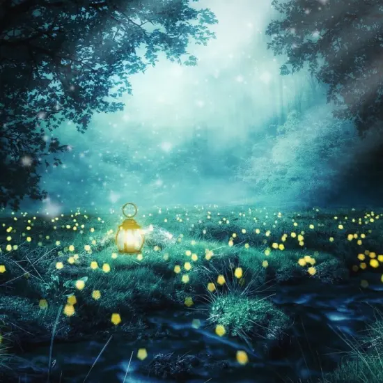 Into the Night (BBW type) - Premium Fragrance Oil {1}