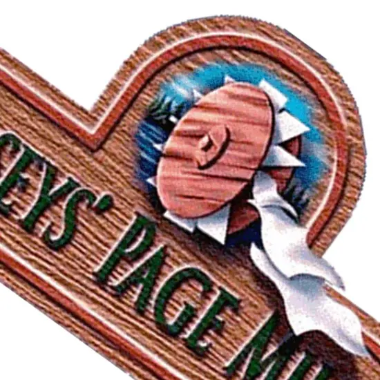 Caseys Laser Film {3}