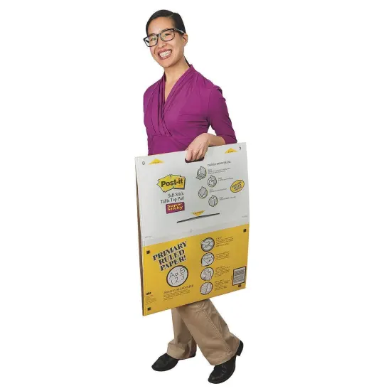 Post-It&reg; Tabletop Easel Pad with Primary Lines, 20" x 23" {2}