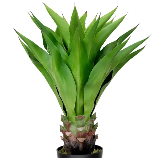 Northlight Real Touch&trade;️ Green Artificial Agave Succulent Plant In a Black Pot - 30.5" Brown {4}