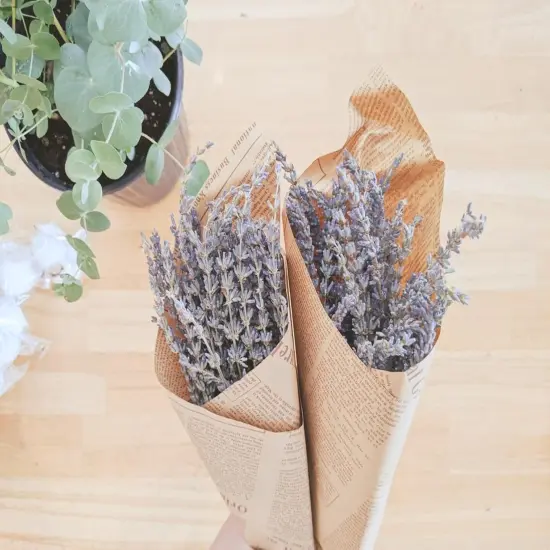 Dried Lavender Bundles | Natural Dried Lavender Flowers 2 Bundles Pack 200 Stems Home Fragrance Dry Lavender for Home & Wedding Decoration, Photo Props {3}