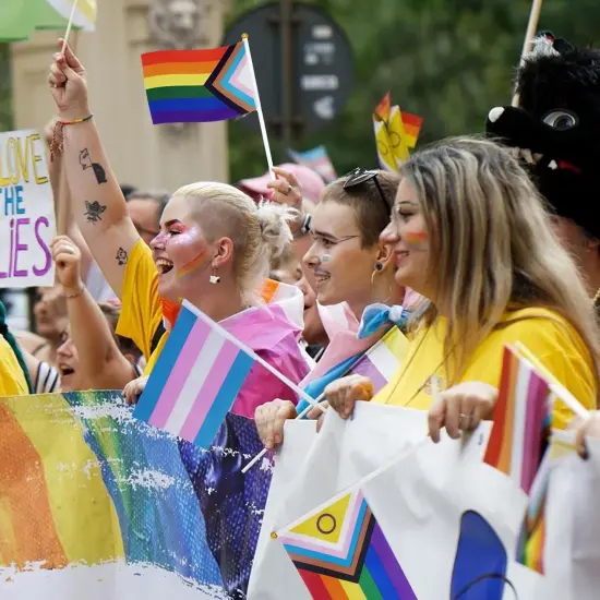 50 Pack Pride Flags Progress Rainbow Pride Flag Small Flag Pride Month Accessories Gay LGBTQ Stick Flag USA American Rainbow Flag Hand Held Flags Decorations for Parades Rainbow Festival {4}