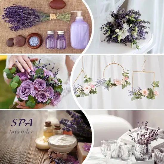 Dried Preserved Lavender Flowers Bundle-Natural Dried Lavender Bouquet 180-200 Stems 15''-17" for Wedding Home Shower Vase Decor, Aromatherapy, Fragrance, Fresh, Dry, 2 Packs {4}