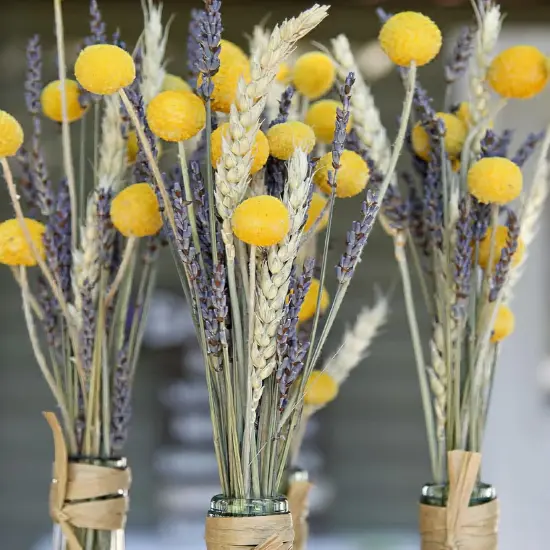Dried Flowers Bouquet Dried Wheat Stalks Bundle Natural Lavender Dried Flowers Craspedia Flowers Dried Floral Arrangements for Wedding Party Table Centerpiece Decor Farmhouse DIY {3}
