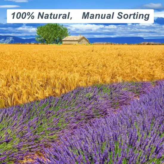 Dried Lavender & Wheat Flowers Bundle - 17'' Real Fresh Preserved Lavender Flowers and White Wheat Plants Bouquet Hand Tied Fall Wedding, Fragrance Home Vase Decor {2}