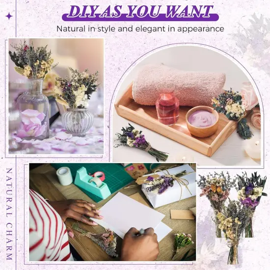 12 Pack Boho Dried Flower Bouquet Mini Wedding Handmade Dry Flowers Decor for Vase Crafts DIY Photo Boutonniere for Men Floral Plant for Bridesmaid Gift Birthday Decor(Lavender) {4}