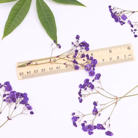 Purple 70 Branches Pressed Flowers Bulk Dried Flower for Resin , Dried Babys Breath Flower with 2 Tweezer {3}