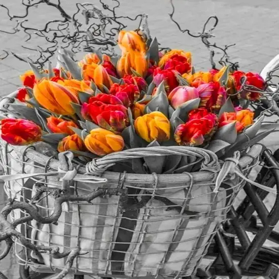 5D DIY Diamond Art Painting Kits for Adults {1}