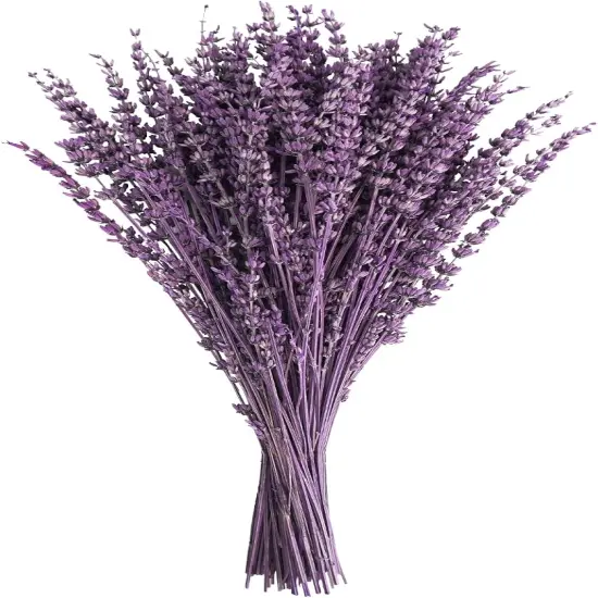 Dried Lavender Flowers, 16" Dried Lavender Bundles Dried Purple Preserved Lavender Bouquet for Shower Weeding Home Fragrance Vase Crafts Decor, 50g (1.76oz) {1}