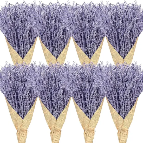 8 Bundles Dried Lavender Bundles 16 Inches 1120-1200 Stems French Dried Lavender Natural Dried Flowers Dried Lavender Bundle for Home Decorations Wedding Photo Props Party Flower Arrangement {1}